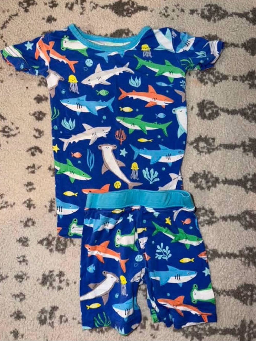 Little Sleepies Rad Reef Short set 2T